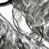 ohne titel, 2021, graphit auf papier, 41,5x59,5 cm, copyright vg bildkunst + axel hptner